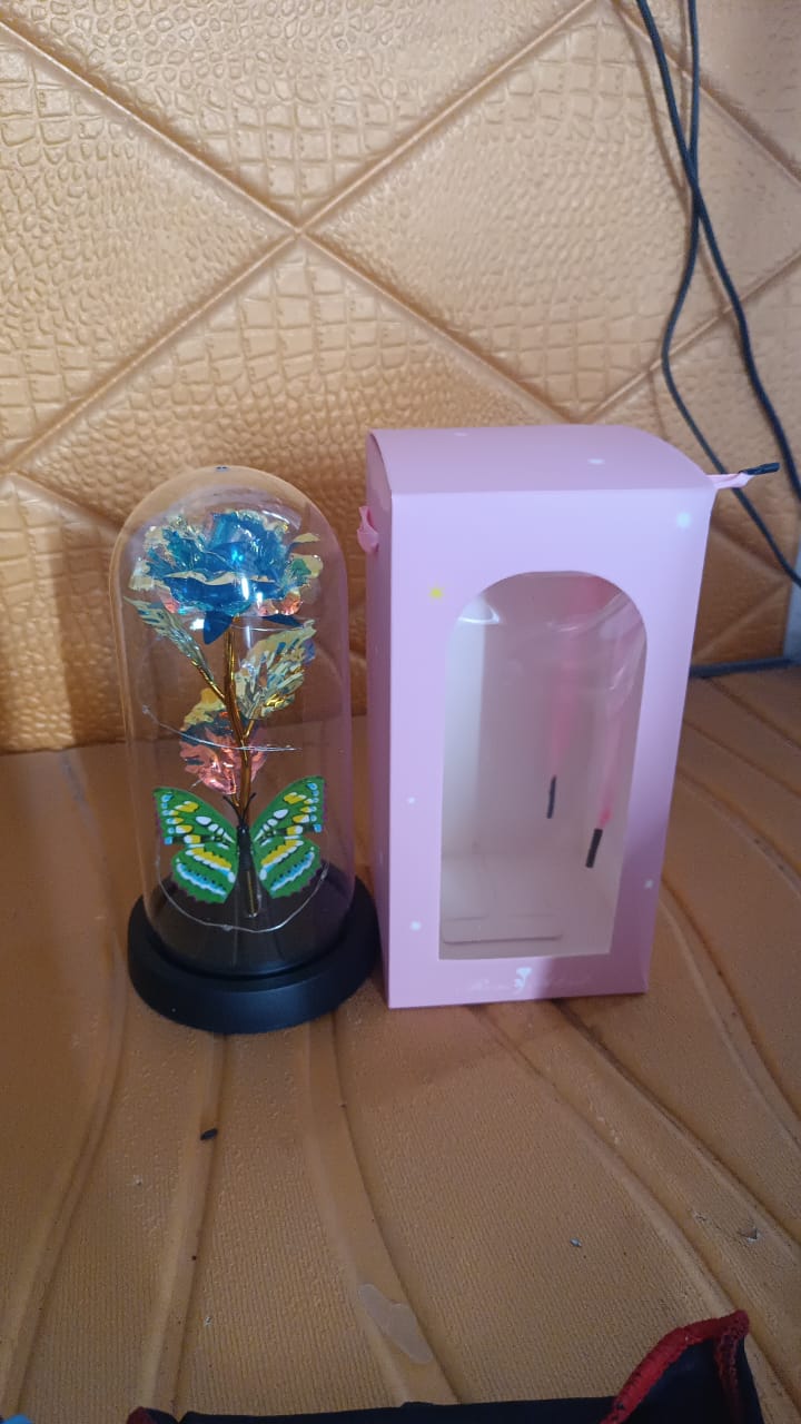 Led-powered Eternal Rose In Plastic Dome (1 Pc Battery Not Included)