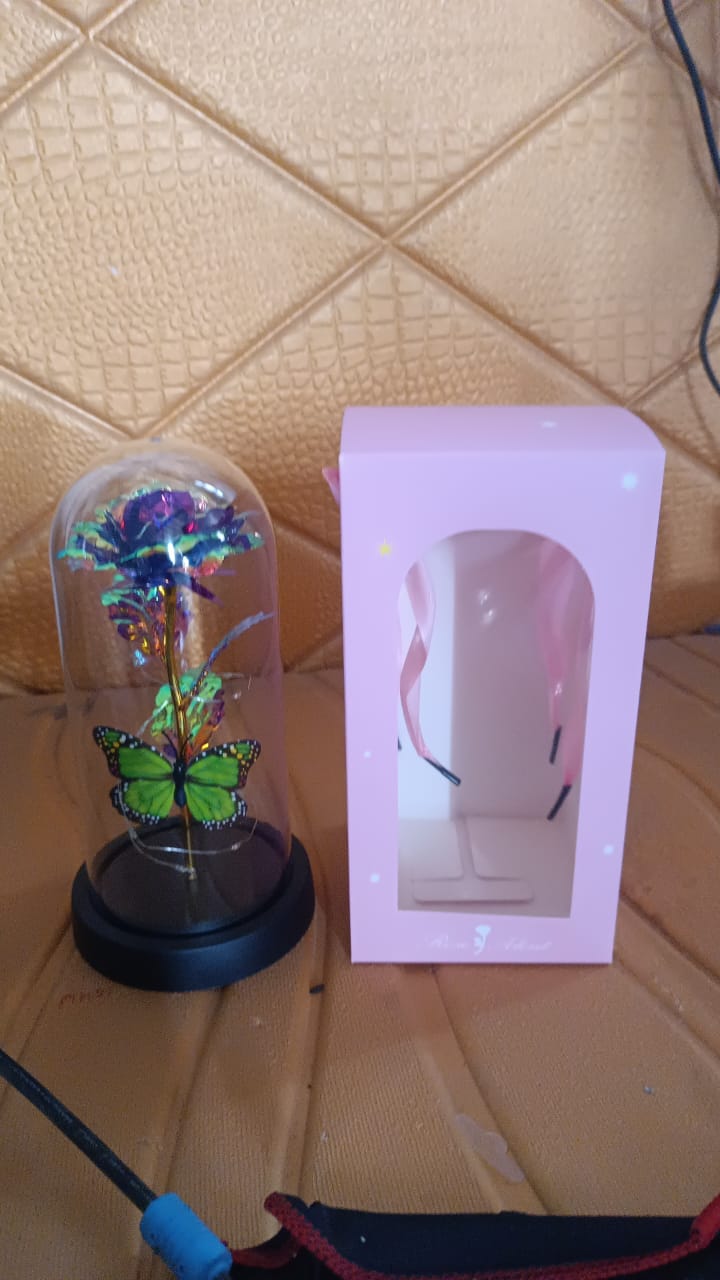 Led Preserved Rose With Colorful Butterfly In Plastic Dome (1 Pc  Mix Color)